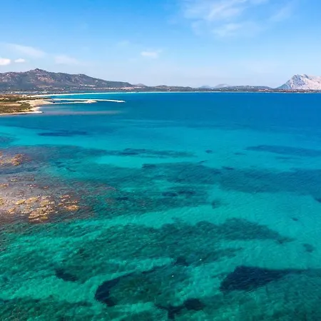 Appartement Tartaruga G *